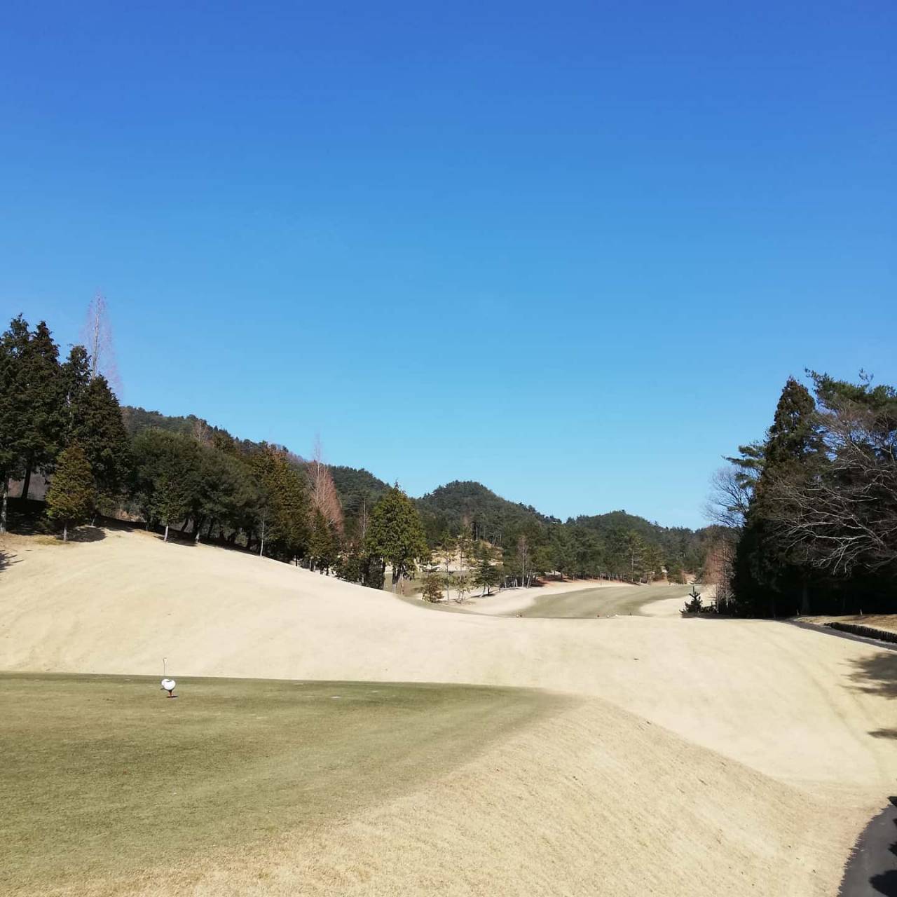 松山ロイヤルゴルフ倶楽部ゴルフラウンド