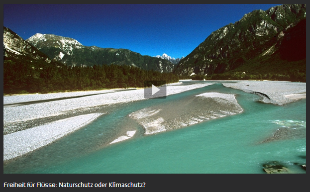 video on the danica dudes flyfishing fliegenfischen blog