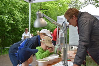 Lange Nacht der Biodiversität Zoo Hellabrunn Insekten