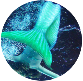 Mermaiding