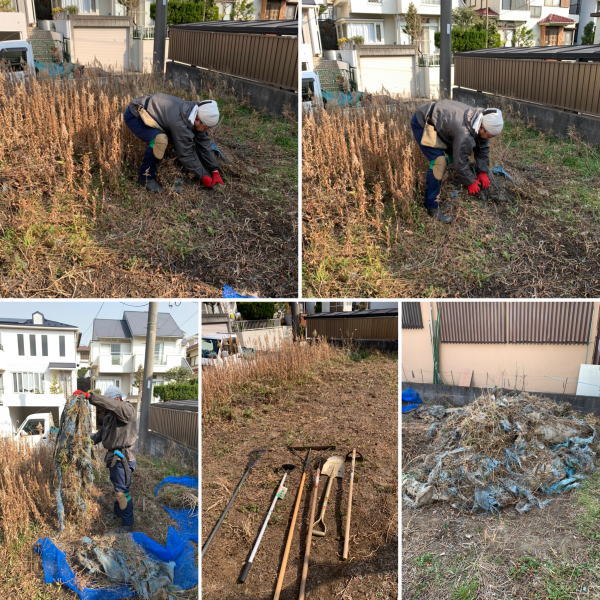 空き地に防草シートの代わりにブルーシートを張り巡らせた結果