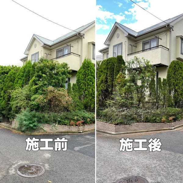 個人邸お庭の剪定作業