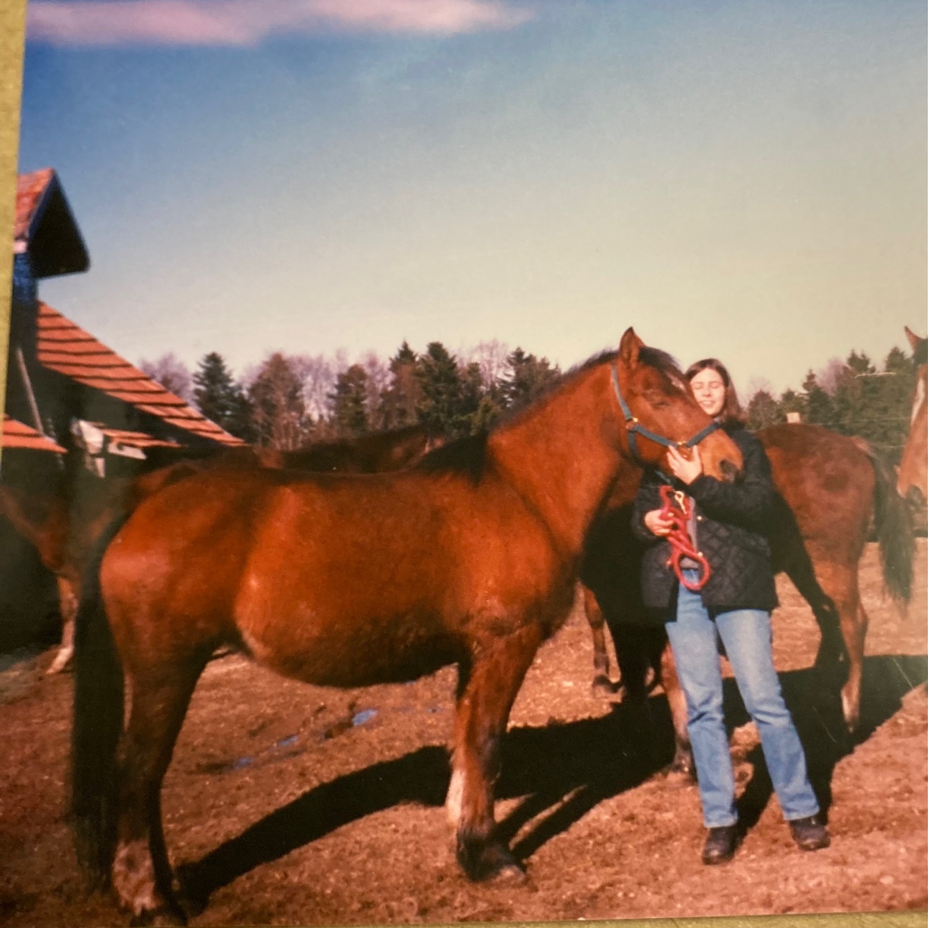 Wie ich zu dem wurde was ich heute bin - Von der spontanen Pferderetterin zur Reiki-Meisterin und Tierkommunikatorin