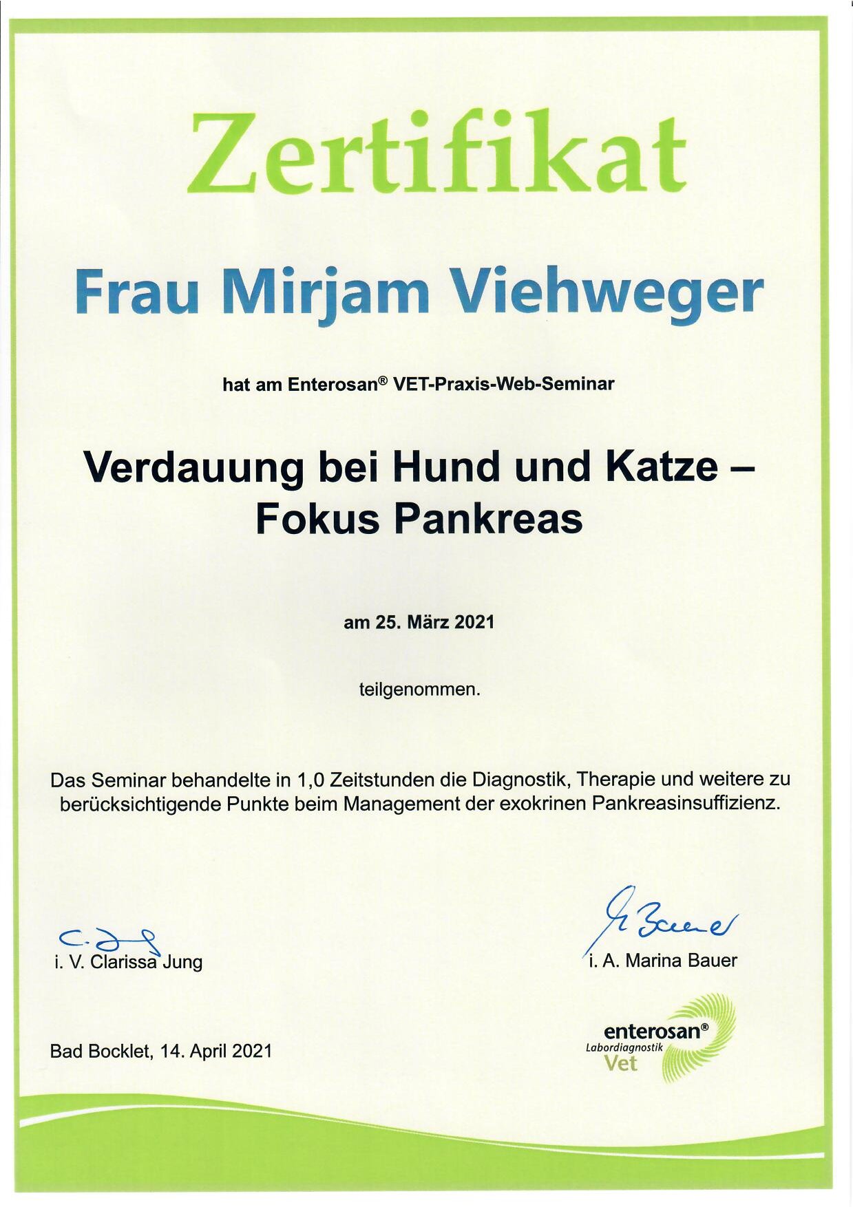 Zertifikat: Verdauung bei Hund und Katze - Fokus Pankreas