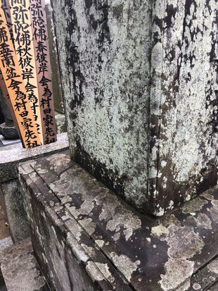 墓石の白カビ・コケ