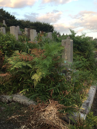 墓石の雑草