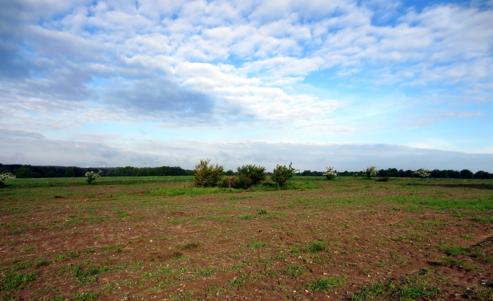 Morgenstimmung am Hillenbarg 10. Mai 2014 8:00