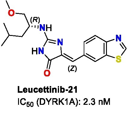 La leucettinib-21 : un futur médicament pour améliorer la mémoire et l’apprentissage