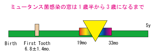 ミュータンス菌感染の窓は1歳半から3歳になるまで
