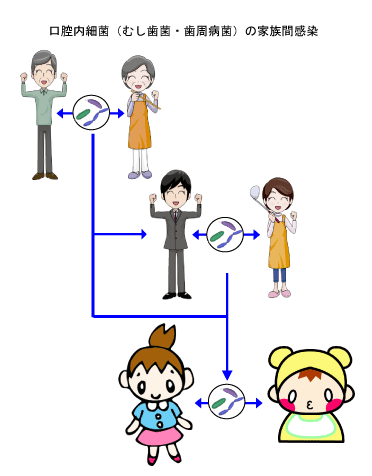 口腔内最近の家族間感染