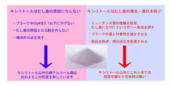 キシリトールはむし歯の発生・進行を防ぐ