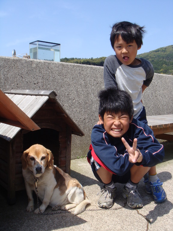 大好きだったチョビと・・・・ 防波堤の上にある水槽の中にはタツノオトシゴ。タツノオトシゴがとれるんです。