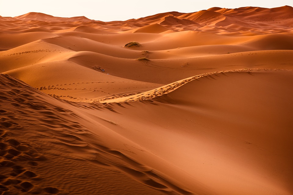 Deserti. Il deserto è definito come un'area della superficie terrestre nella quale le precipitazioni difficilmente superano i 250 millimetri l'anno.