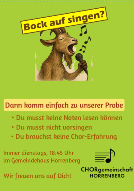 SÄNGERINNEN UND SÄNGER GESUCHT