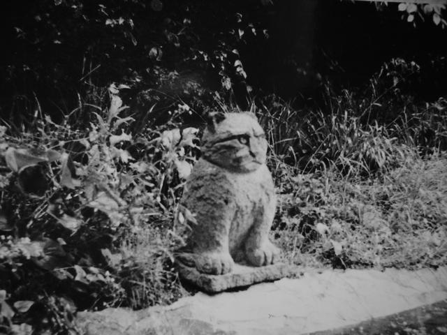 Kater, Tuffstein, 120cm, 1992