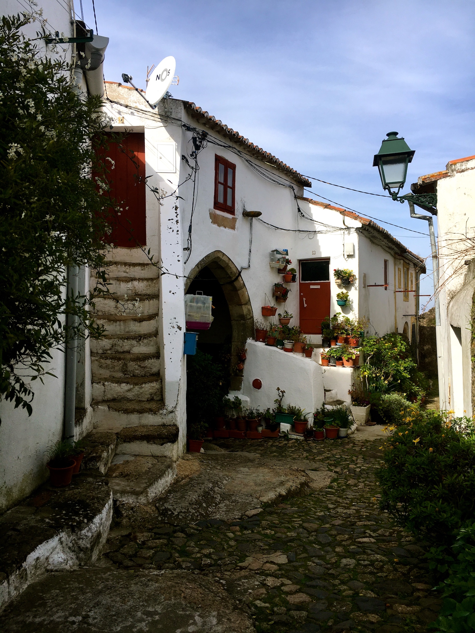 Hübsche Gassen in Castelo de Vide
