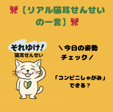 今日の「リアル猫耳せんせい」の一言