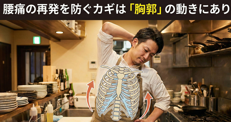 【30代・飲食店経営者】腰痛の再発を防ぐカギは「胸郭」の動きにあり：施術事例報告