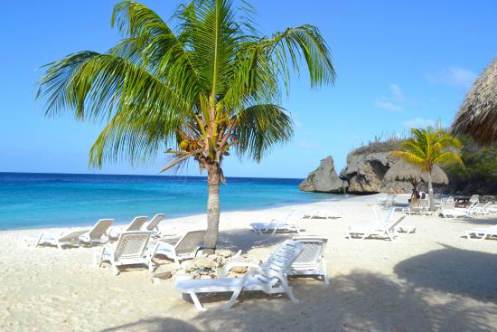 "Traumstrand Cas Abou Beach auf Curacao mit weißem Sand, Palmen und karibischem Meer"