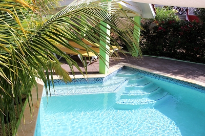 pool-palme-Ferienhaus-CAS-IGUANA-Urlaub-Curacao-Karibik-Villapark-Fontein