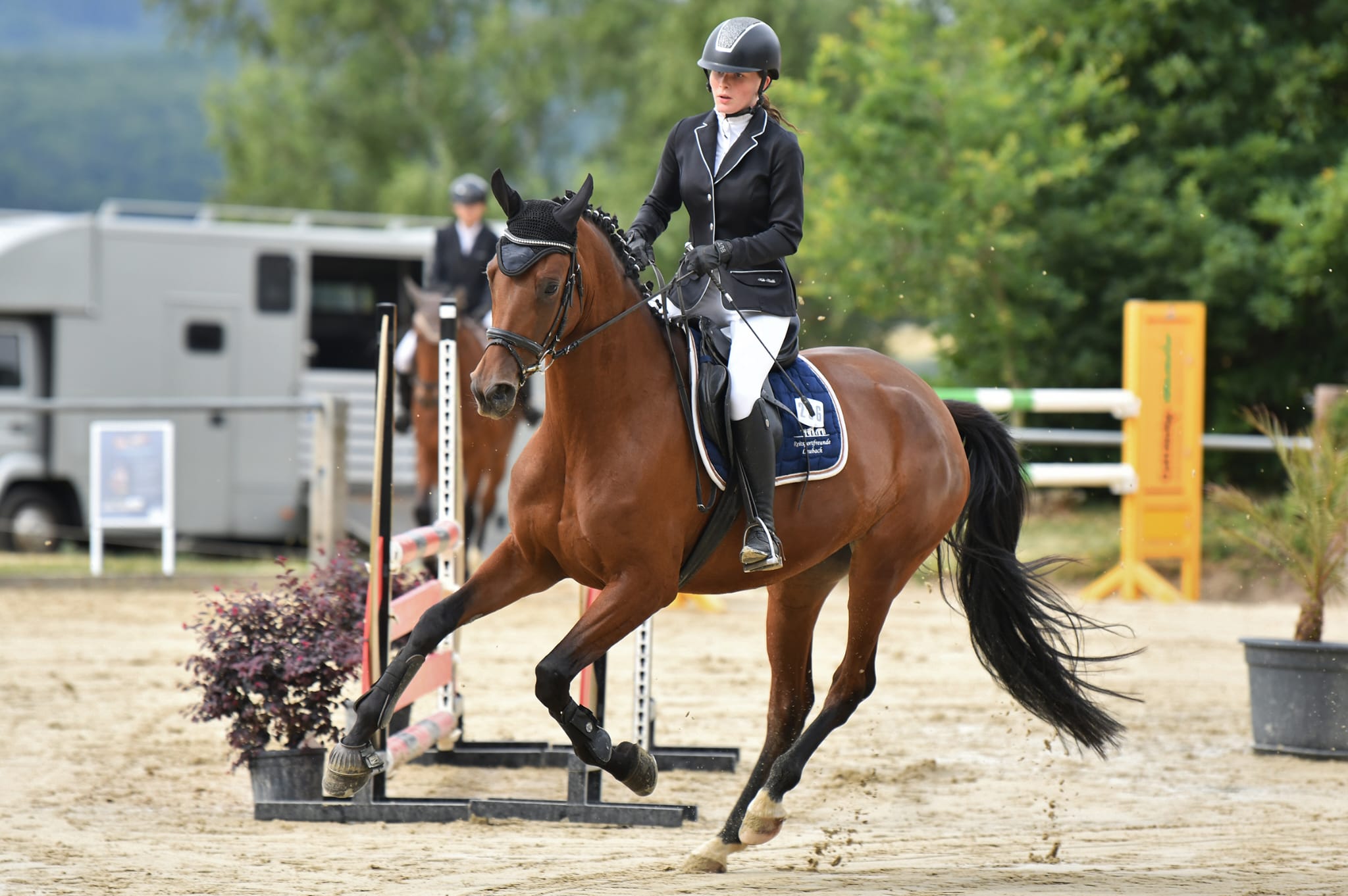 Haya Unica von Unicato x Normativ ox   Foto: Nina Schmaus