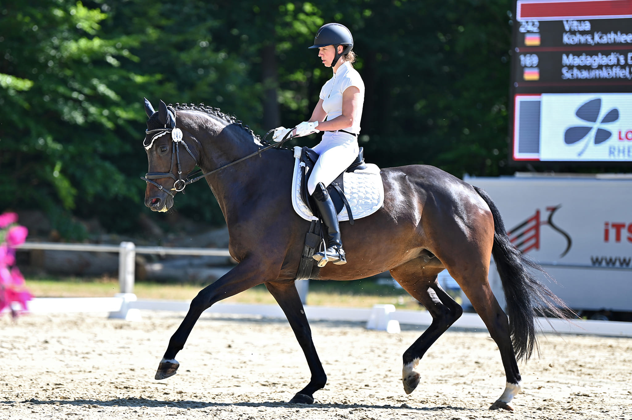 Vitua von Unicato x Guy Laroche