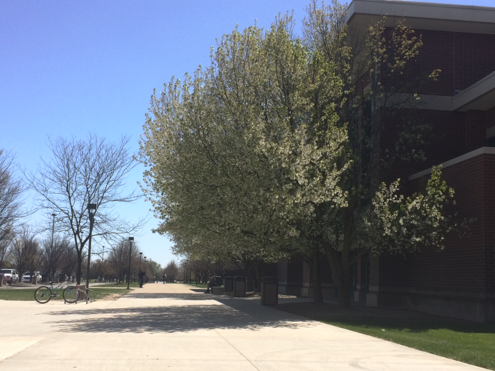 Outside of school it's finally blooming…