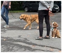 Wenn du merkst, dass es nicht mehr um Training geht