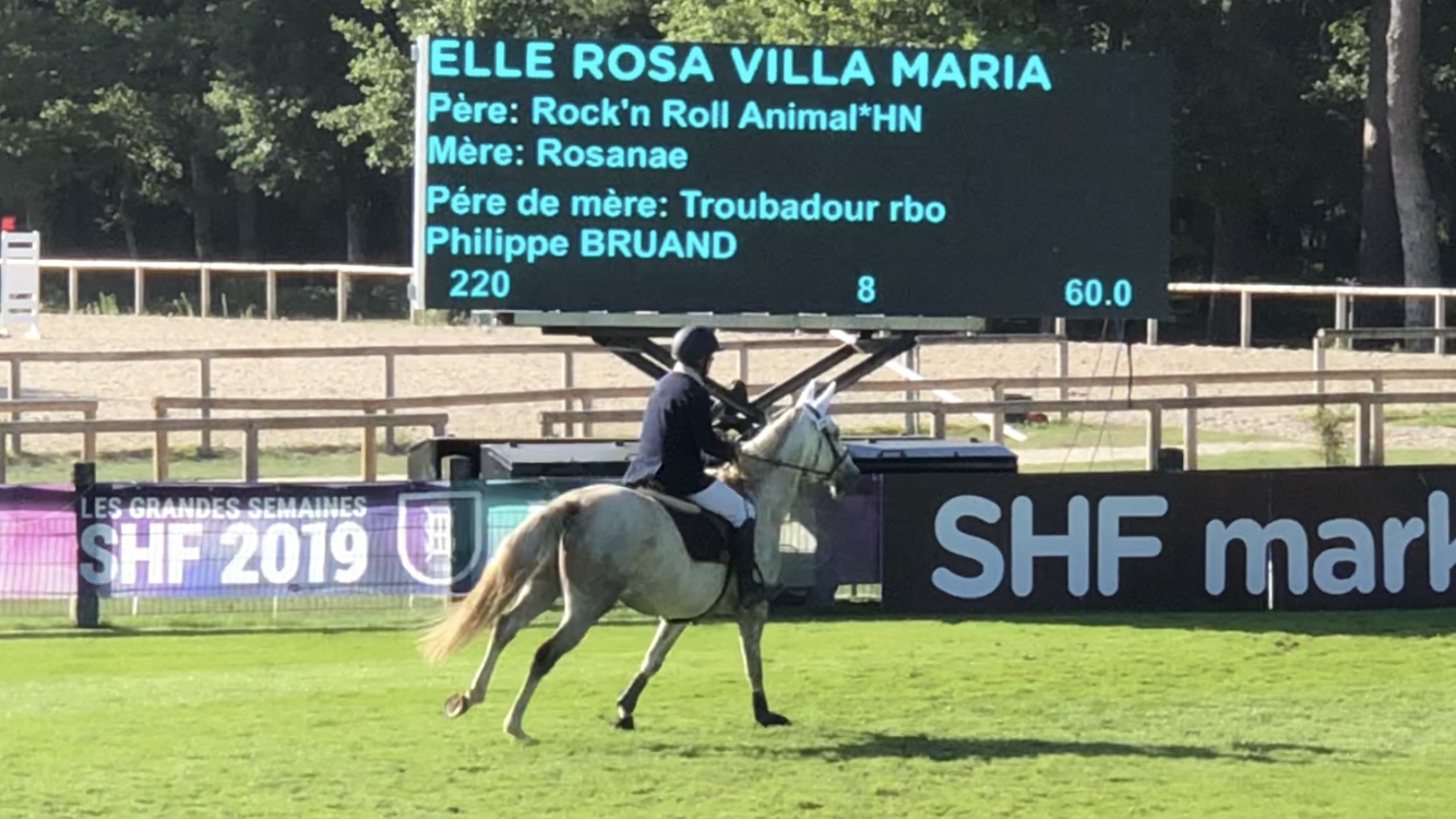 Elle Rosa à Fontainebleau