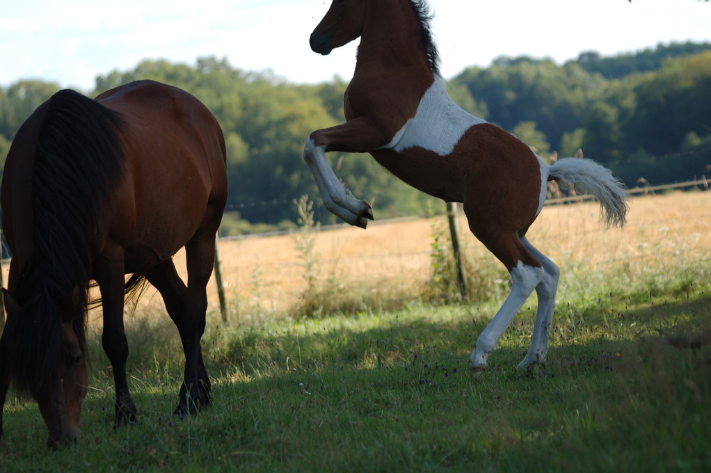 joueuse avec maman