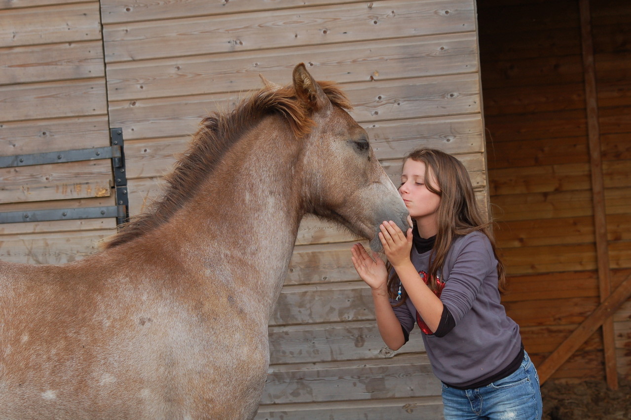 Comme dit Eva"il est trop calin ce poulain"