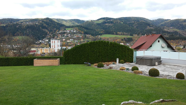 Foto eines gepflegten Garten mit frisch gemähtem Rasen.