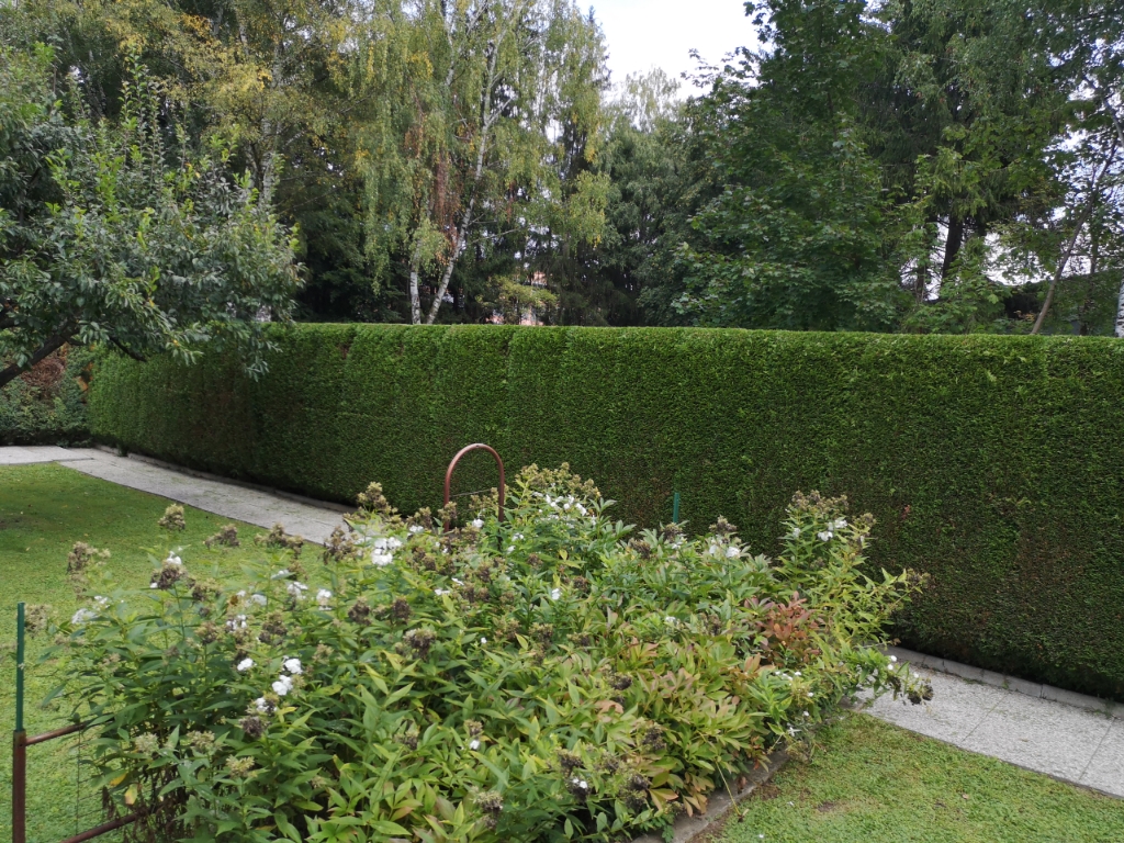 Foto eines gepflegten Garten mit frisch gemähtem Rasen - Teil 2.