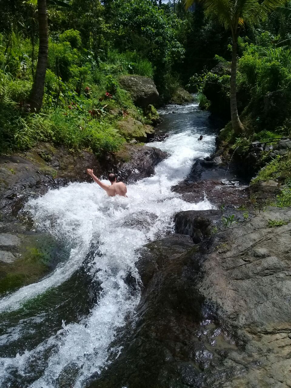 Best North Bali Hikes from Lovina Bali Surya Tours Lovina