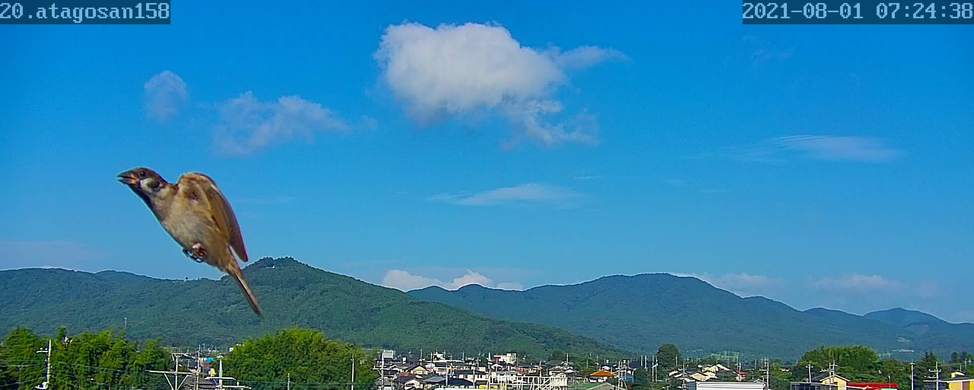 8月1日 　また、暑くなってきた。　86日目