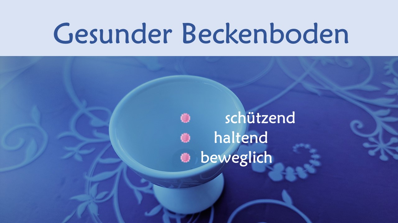 Dein Beckenboden