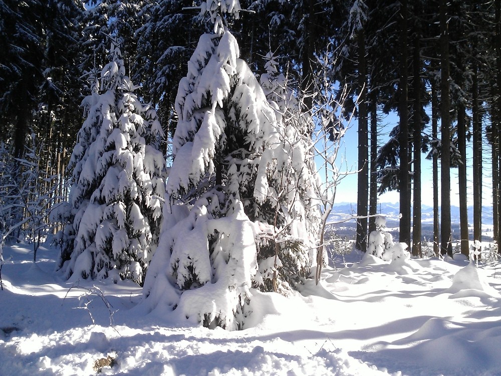So schön kann ein Frühwinter sein, leider wieder alles weg