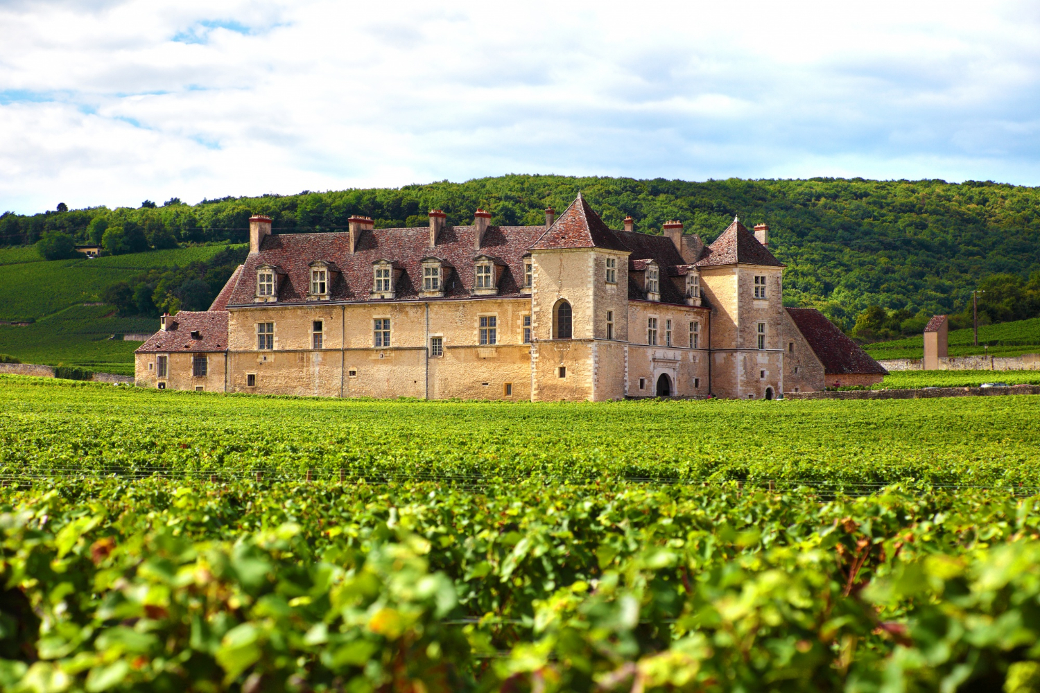 Feine Weine aus dem Burgund müssen nicht immer teuer sein