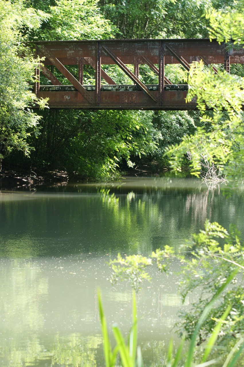 le pont de fer de St Sulpice (16)