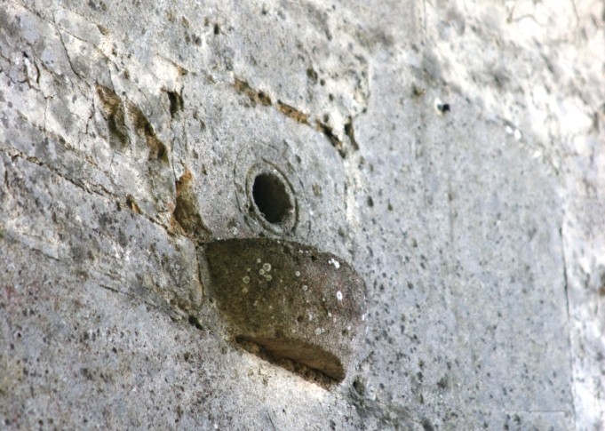 Nichoir à moineaux (Ferme de la Plante)