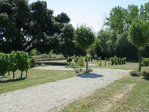 La collection de cépages du Conservation du Vignoble Charentais