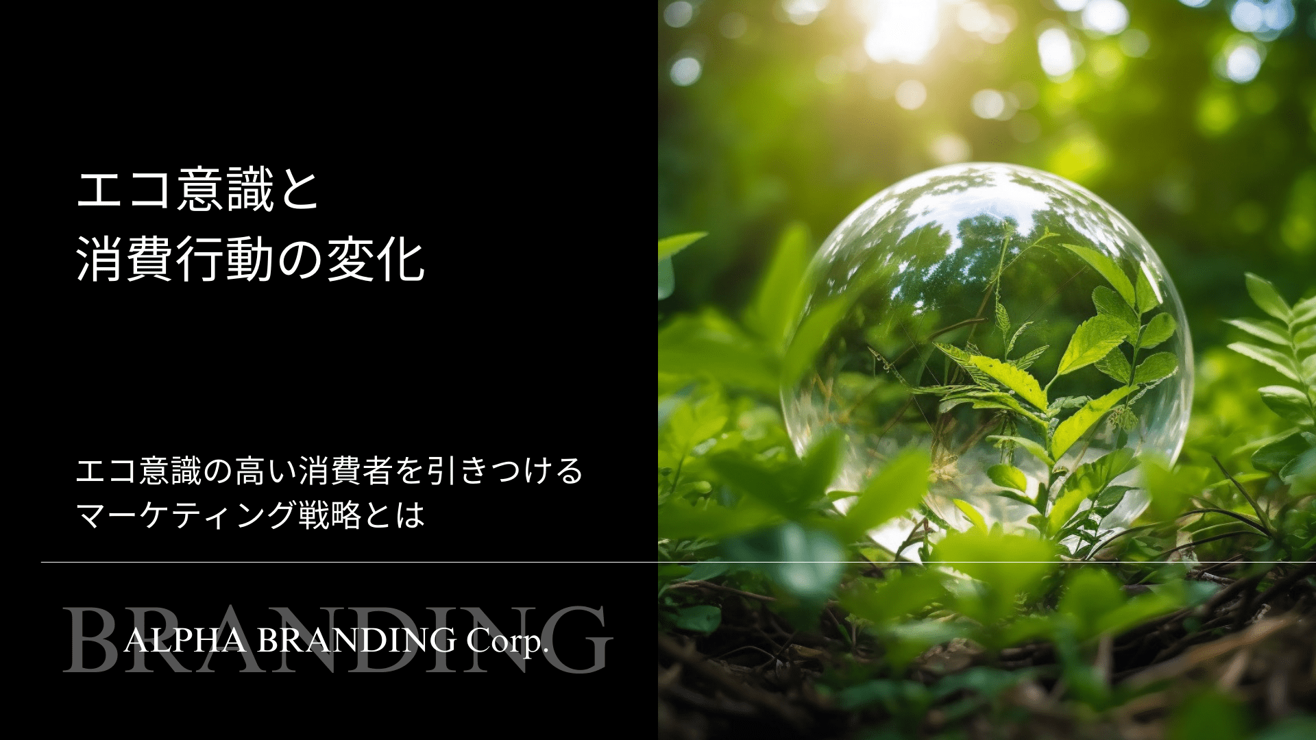 エコ意識と消費行動の変化 - エコ意識の高い消費者を引きつけるマーケティング戦略