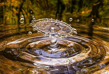 アバフェルディ1980 UD花と動物シリーズ カスク