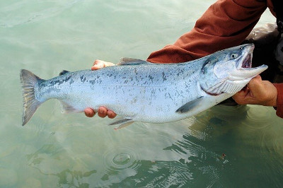 River Spey 鮭釣りでも知られるスペイ川