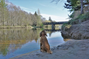 River Spey スペイ川
