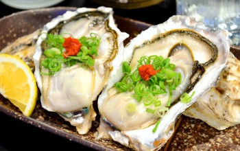 Oyster 牡蠣