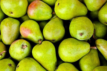 Pear 洋梨