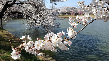 福島県郡山市にある五百渕公園