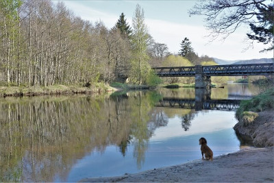 River Spey スペイ川