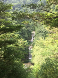 北杜市白州町の尾白川渓谷の画像